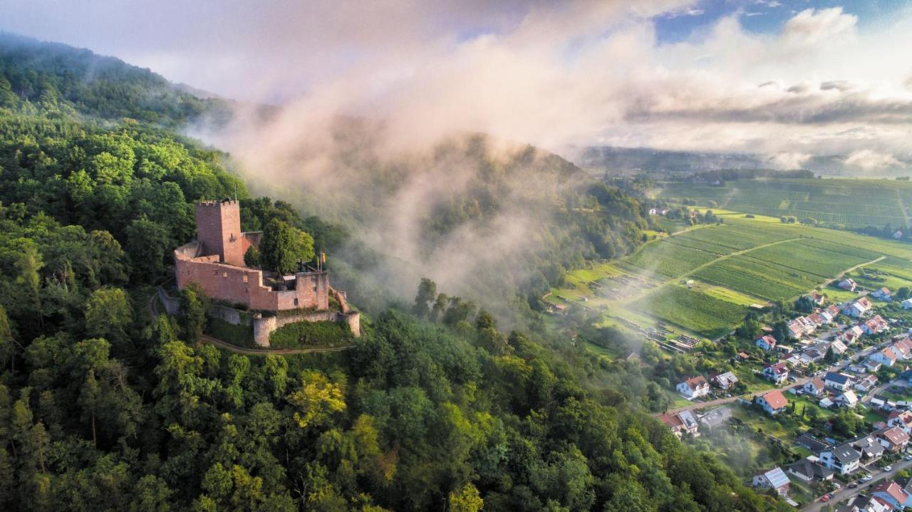 Land.wein.gut Клингенмюнстер